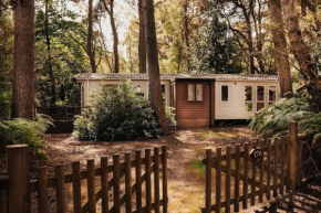 Slow You Down - Norfolk Cottage Agency